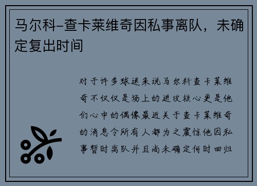 马尔科-查卡莱维奇因私事离队，未确定复出时间